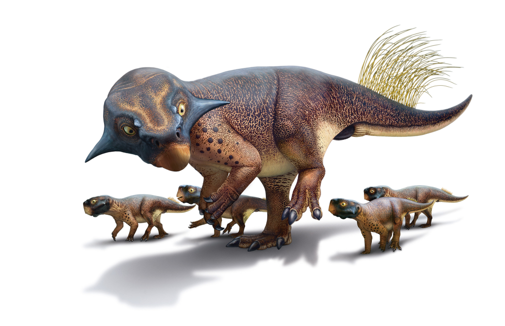 Meet Psittacosaurus, The Dinosaur That Keeps on Giving – Max's Blogo-Saurus