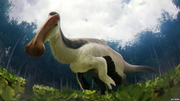 Meet Deinocheirus, Mongolia's Bizarre Dino-Duck – Max's Blogo-Saurus